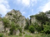 DSC07335