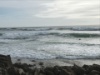 IMG 3781