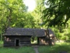 IMG 4732
