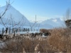 IMG 16891