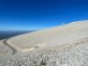 IMG 7317