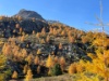 IMG 4379