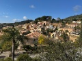 IMG 7503