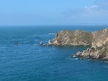 IMG 0236