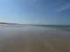 IMG 0479