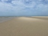 IMG 9502