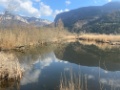 IMG 4078