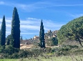 IMG 4267