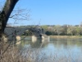IMG 4565